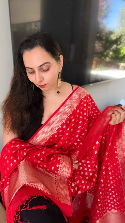 Tapasya Dupatta